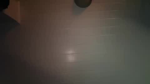 theonlyboi43ver online show from December 8, 2024, 1:02 am