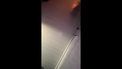 theonlyboi43ver online show from December 27, 2024, 8:35 am