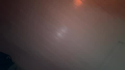 theonlyboi43ver online show from December 31, 2024, 11:53 am