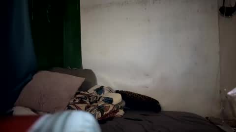 theonlyboi43ver online show from January 10, 2025, 11:39 pm