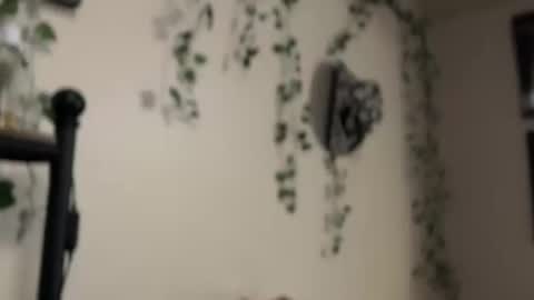 Snapshot of therealferrarii chatting on May 10, 2026, 5:01 am therealferrarii online show from May 10, 2026, 5:01 am