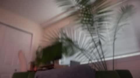 Snapshot of therealveggieboy chatting on May 17, 2026, 12:08 am Pookie online show from May 17, 2026, 12:08 am