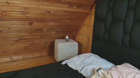 thiago_n_sam online show from November 1, 2025, 12:01 am