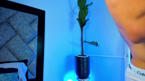 thiago online show from December 29, 2024, 4:27 am