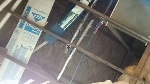 thickstick111222 online show from September 10, 2025, 1:05 am