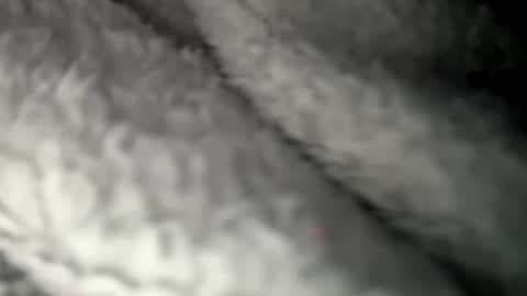 thickuncut7148704 online show from February 7, 2025, 9:16 am