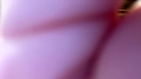 throatgoat2210 online show from December 1, 2025, 1:05 pm