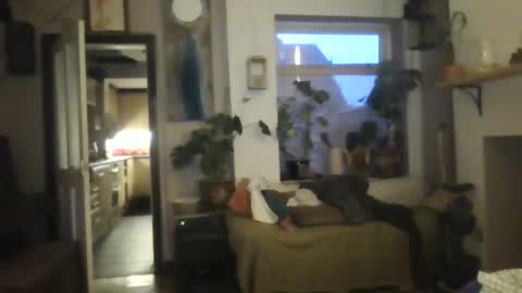 tiddles12345 online show from October 18, 2025, 6:26 am