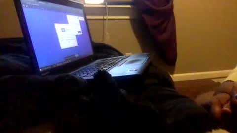 Tierra Henri online show from February 2, 2025, 3:49 pm