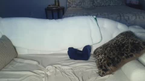 Tiffani Love online show from February 8, 2025, 1:00 am