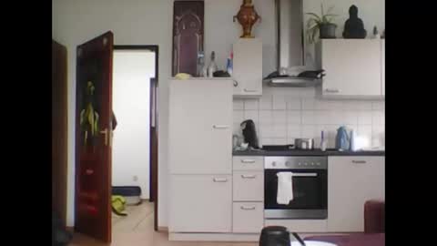 Snapshot of tigertrance chatting on March 11, 2025, 11:44 am tigertrance online show from March 11, 2025, 11:44 am