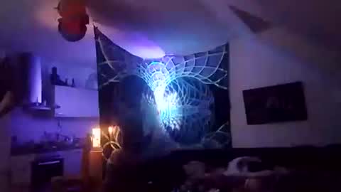 Snapshot of tigertrance chatting on December 2, 2025, 12:49 am tigertrance online show from December 2, 2025, 12:49 am