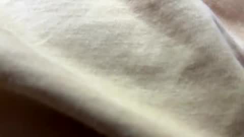 Snapshot of timber2255 chatting on October 31, 2025, 2:07 pm timber2255 online show from October 31, 2025, 2:07 pm