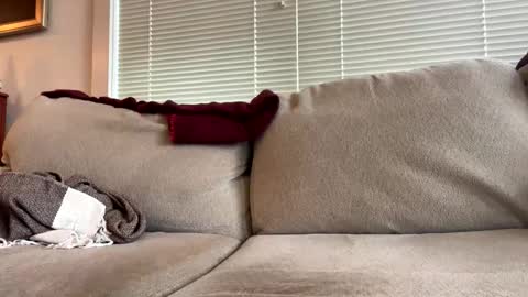 time4fun8837 online show from February 15, 2026, 7:32 pm