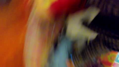 Snapshot of timewith_sebas chatting on May 15, 2026, 1:23 am salem online show from May 15, 2026, 1:23 am