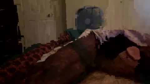 Tim Haley online show from March 14, 2026, 11:21 pm