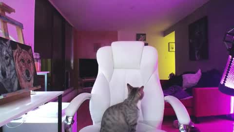 stage Kylie Sinner  brand CLITBAIT online show from October 14, 2025, 1:06 am