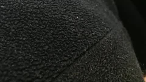 tinyslut66 online show from November 17, 2025, 10:59 pm