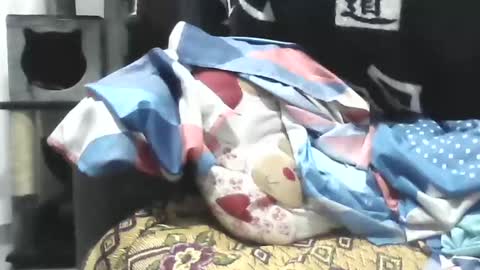 Ester online show from April 22, 2026, 9:01 am