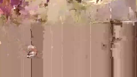 Snapshot of tobyobeys chatting on October 27, 2025, 3:32 am Toby Obeys online show from October 27, 2025, 3:32 am