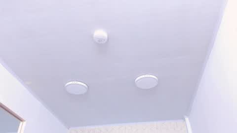 Tokyo  online show from December 21, 2024, 1:10 pm