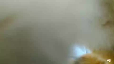 Blue online show from February 24, 2025, 3:42 pm