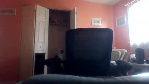 tomcat4848 online show from April 22, 2026, 7:48 pm