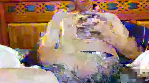 tomygolden online show from November 28, 2025, 3:20 am