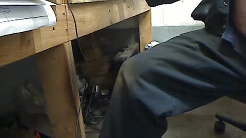 Snapshot of tony2700targa chatting on July 7, 2026, 11:14 am tony2700targa online show from July 7, 2026, 11:14 am