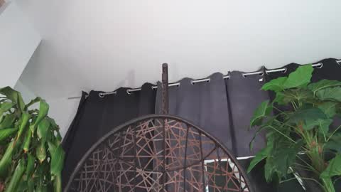 tony online show from February 12, 2026, 12:16 am