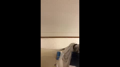 toronto5656 online show from January 13, 2025, 6:27 am