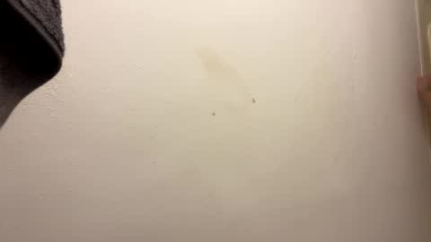 toronto5656 online show from January 31, 2025, 6:46 am