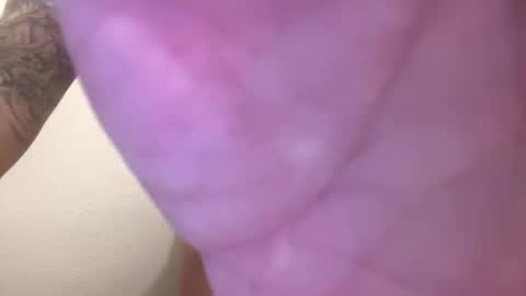 toronto5656 online show from February 1, 2025, 5:07 am