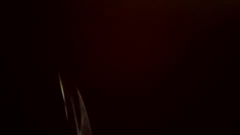 toronto5656 online show from February 24, 2025, 11:54 am