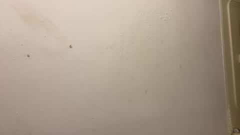 toronto5656 online show from March 3, 2025, 3:31 pm