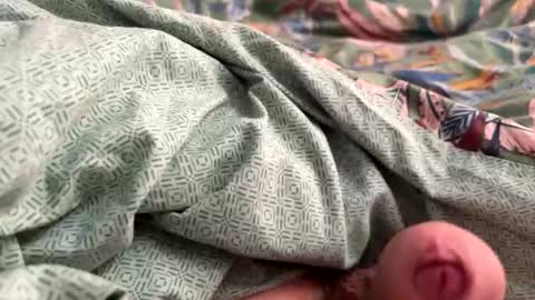 tos12345 online show from November 21, 2025, 12:15 pm