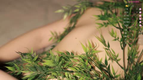 Toshi online show from December 9, 2024, 1:02 pm