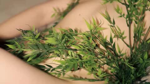 Toshi online show from January 12, 2026, 1:05 pm