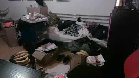 Totox online show from December 29, 2024, 7:43 pm