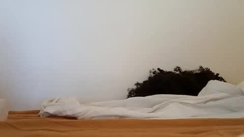 transexblackfat online show from November 19, 2025, 1:33 pm