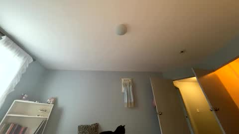 Snapshot of transgirl007 chatting on May 24, 2026, 10:04 pm transgirl007 online show from May 24, 2026, 10:04 pm