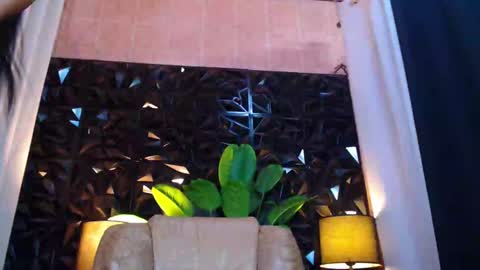 transpornidol online show from December 14, 2024, 4:31 pm