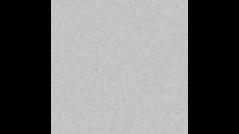 travt91 online show from November 3, 2025, 5:52 am