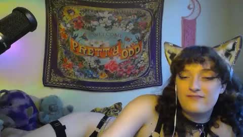 treecups online show from September 23, 2025, 9:18 pm