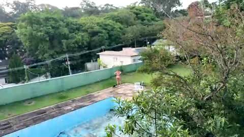 trigood online show from November 28, 2025, 9:17 pm