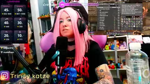 Trin Kat pet online show from April 9, 2026, 6:46 pm