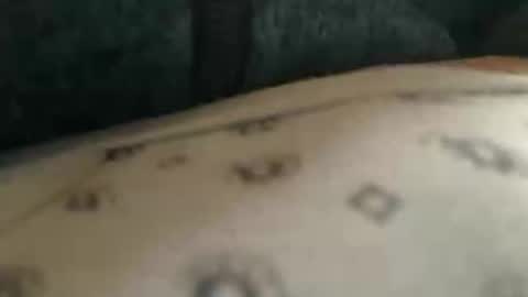 trobelle online show from November 25, 2025, 10:37 am