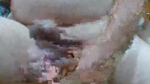 troy1965 online show from February 23, 2026, 4:32 am