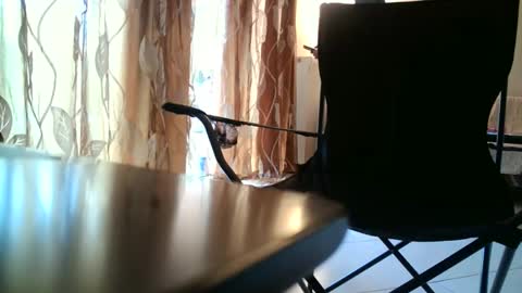 Snapshot of truble_again chatting on May 18, 2026, 5:46 am truble_again online show from May 18, 2026, 5:46 am