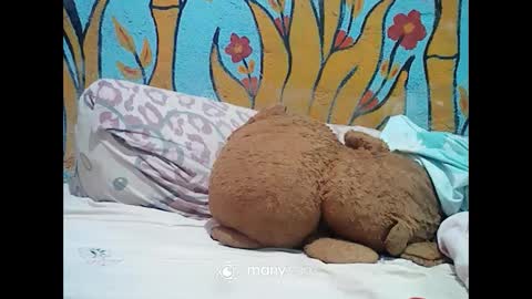 ts_cuumlover online show from December 2, 2024, 1:14 am